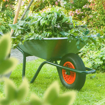 schubkarre bubblenavibanner 412x412